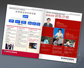 古鎮(zhèn)燈飾畫(huà)冊(cè)與廣告設(shè)計(jì) 專(zhuān)業(yè)代理服務(wù)助您點(diǎn)亮品牌